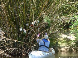 Volunteer snags a plastic bag