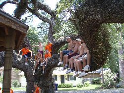 ELCA Volunteers request a tree climbing reward for a hard day's work spreading mulch